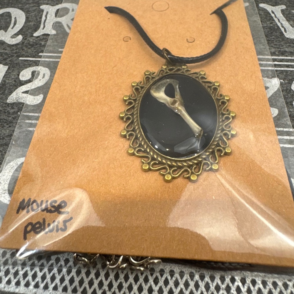 OOAK Handcrafted Taxidermy Oddities Mouse Pelvis Hip Bone Pendant Necklace